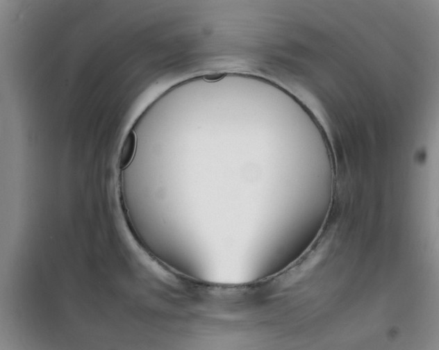 X0000100981389200807151405