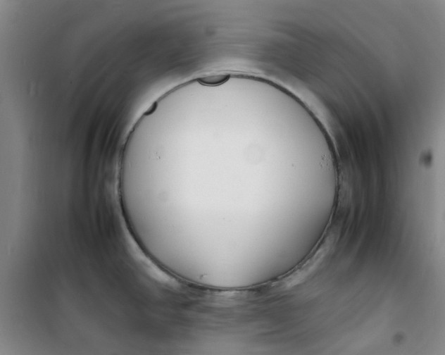 X0000100981390200807151405