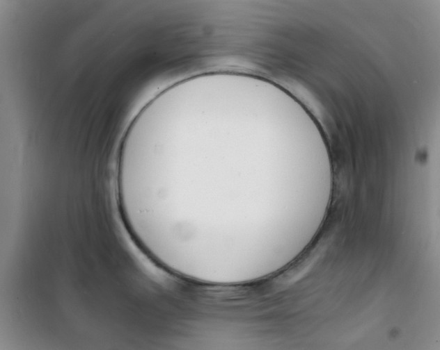 X0000100981391200807151405