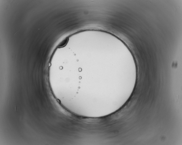 X0000100981392200807151405