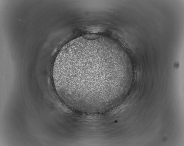 X0000100981393200807151404