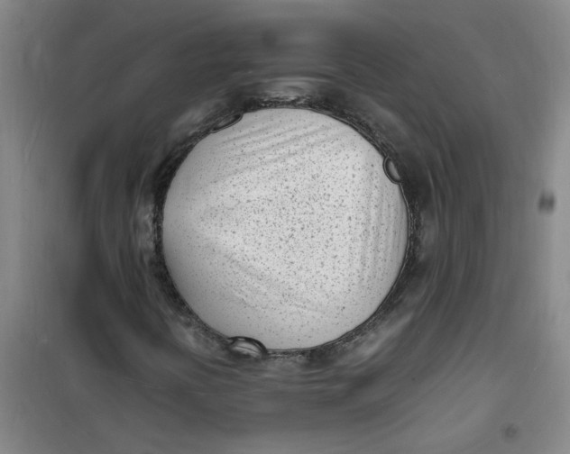 X0000100981394200807151404