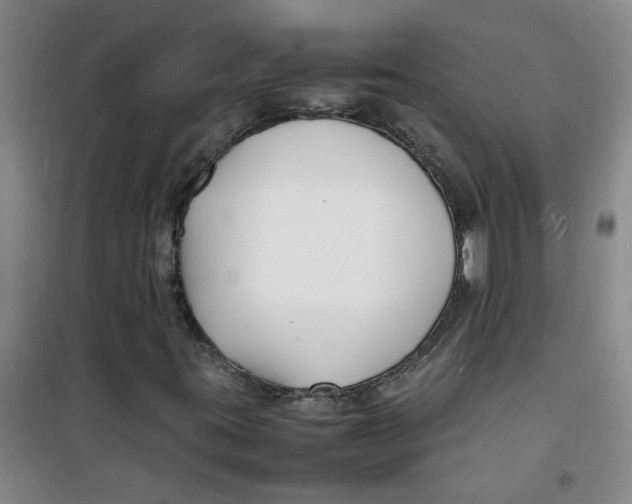 X0000100981395200807151404