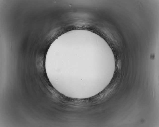 X0000100981396200807151404