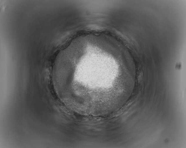 X0000100981397200807151404