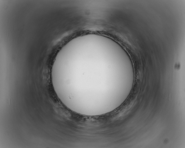 X0000100981398200807151404