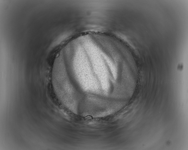 X0000100981399200807151404