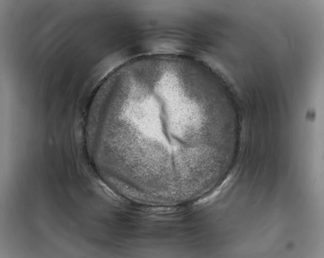 X0000100981401200807151404