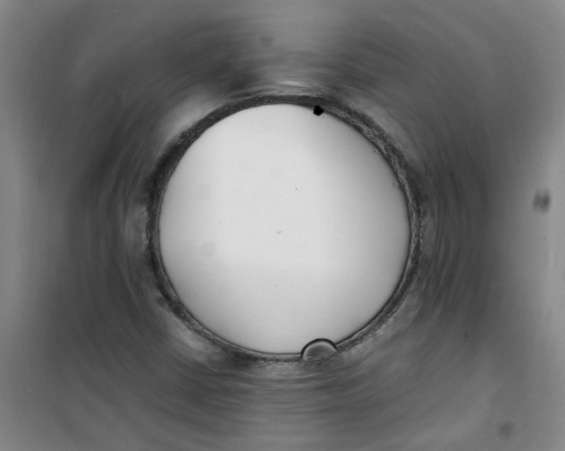 X0000100981402200807151404