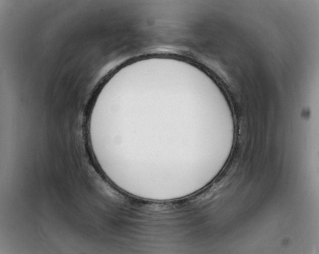 X0000100981404200807151404