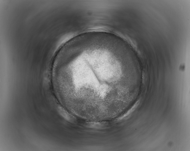 X0000100981405200807151404