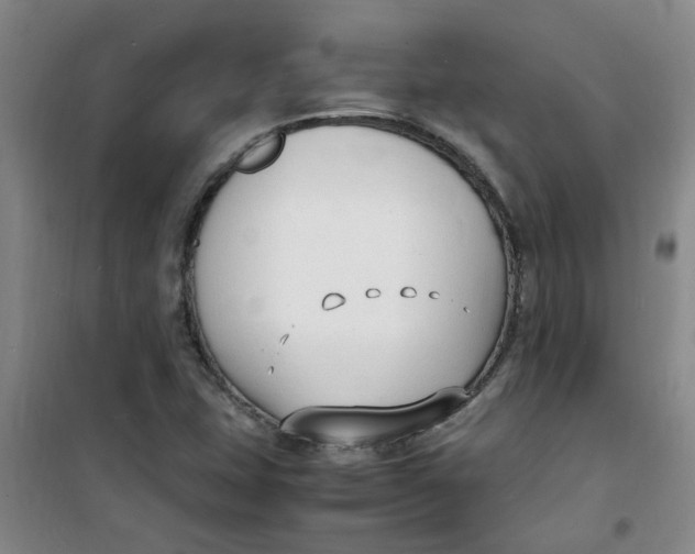 X0000100981407200807151404