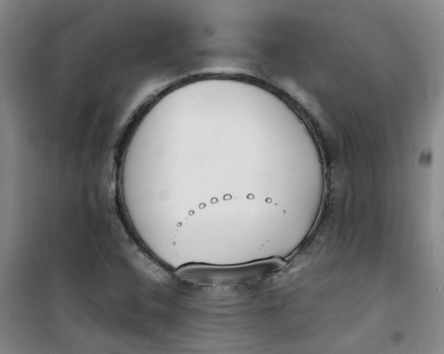 X0000100981408200807151404