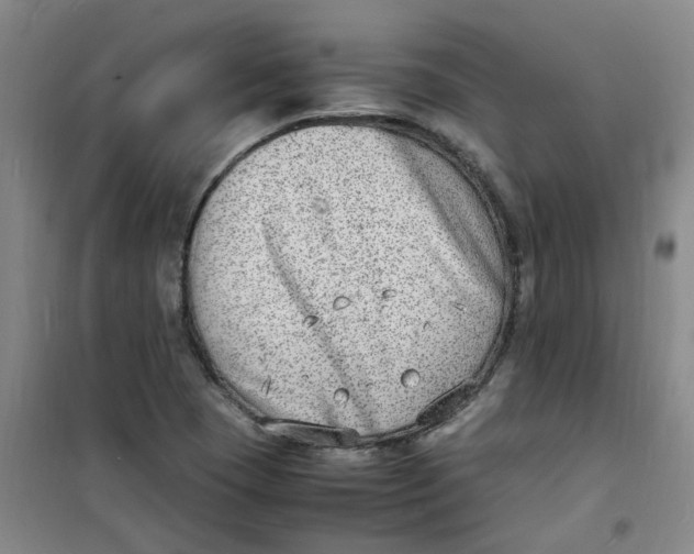 X0000100981409200807151404