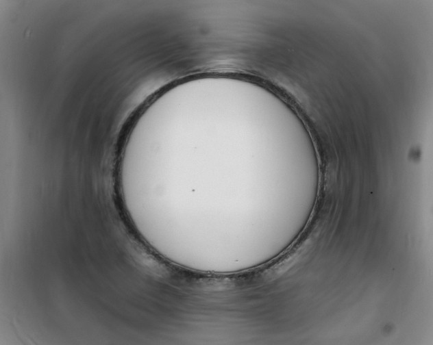 X0000100981410200807151404