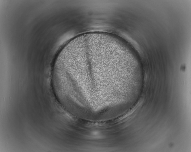 X0000100981411200807151404