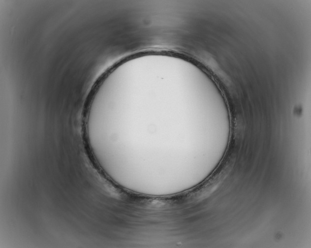 X0000100981412200807151404