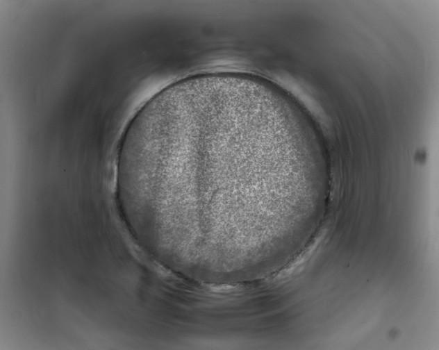 X0000100981413200807151404