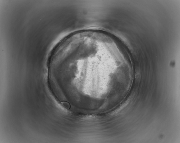 X0000100981414200807151404