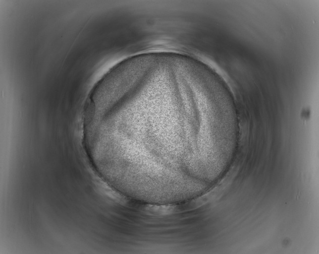 X0000100981415200807151404