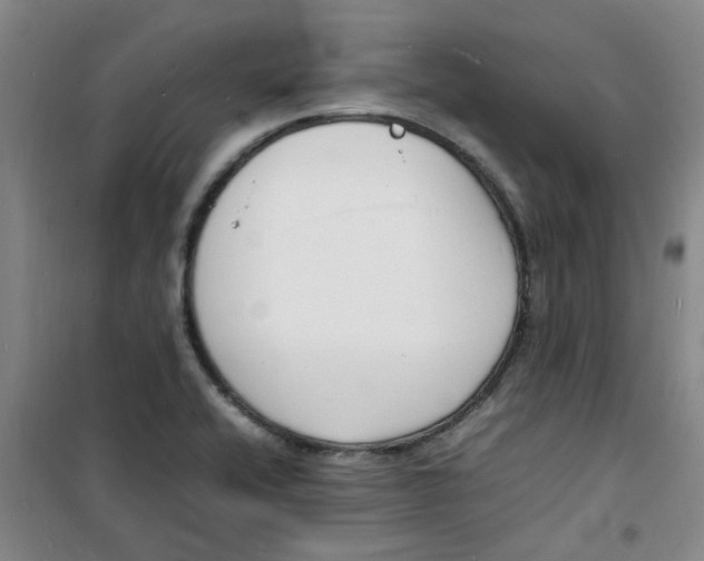 X0000100981416200807151404