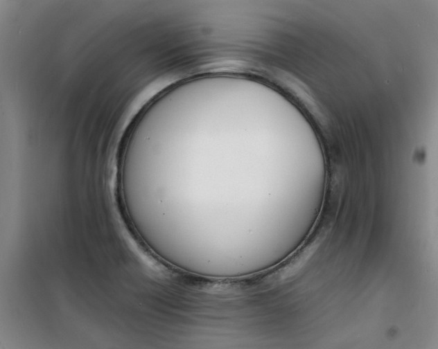 X0000100981418200807151404