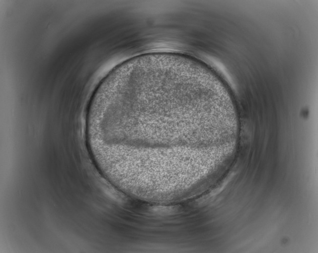 X0000100981419200807151405