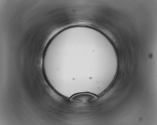 X0000100981420200807151405