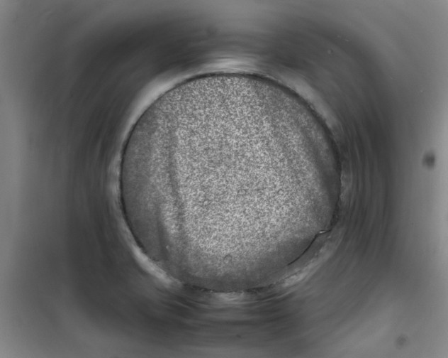 X0000100981421200807151405