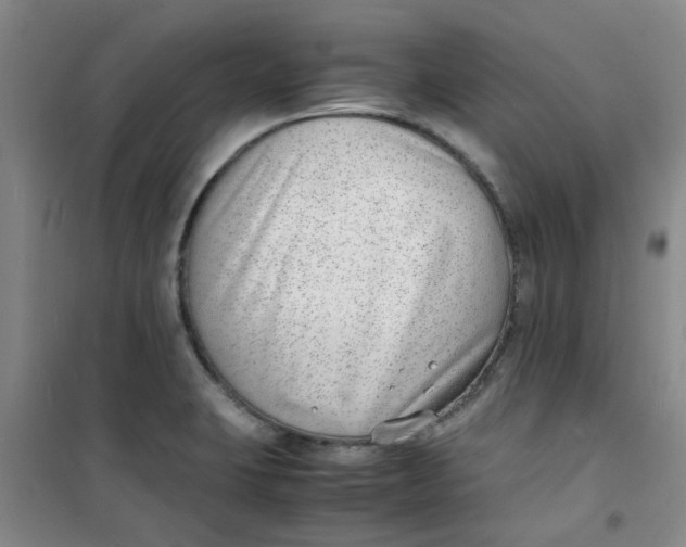 X0000100981423200807151405