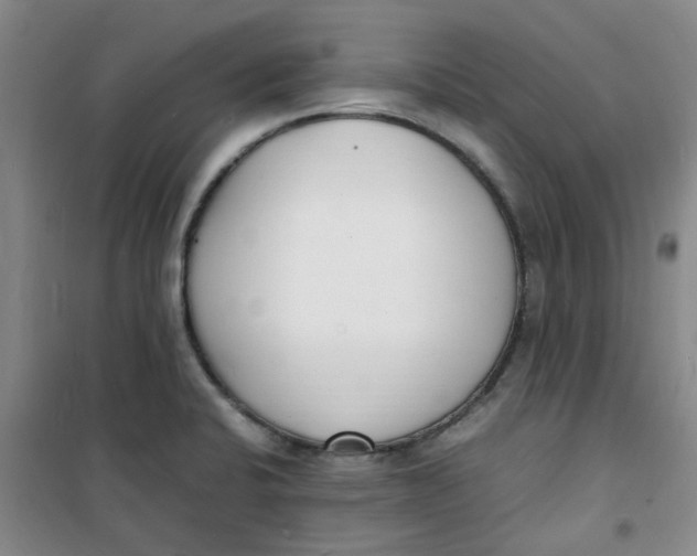 X0000100981424200807151405