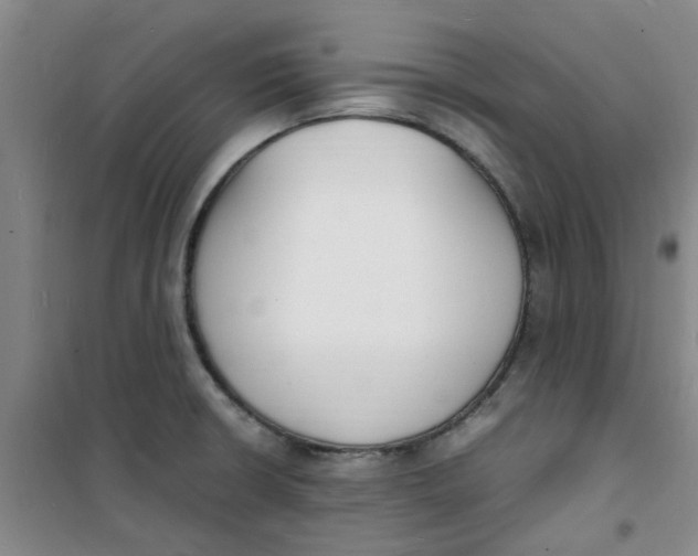 X0000100981426200807151405