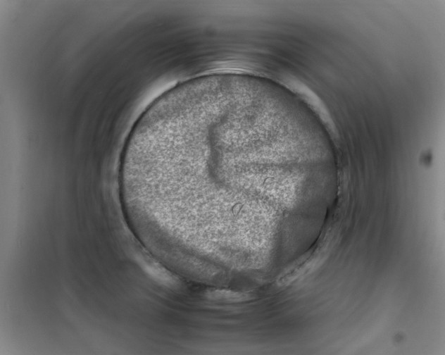 X0000100981427200807151405