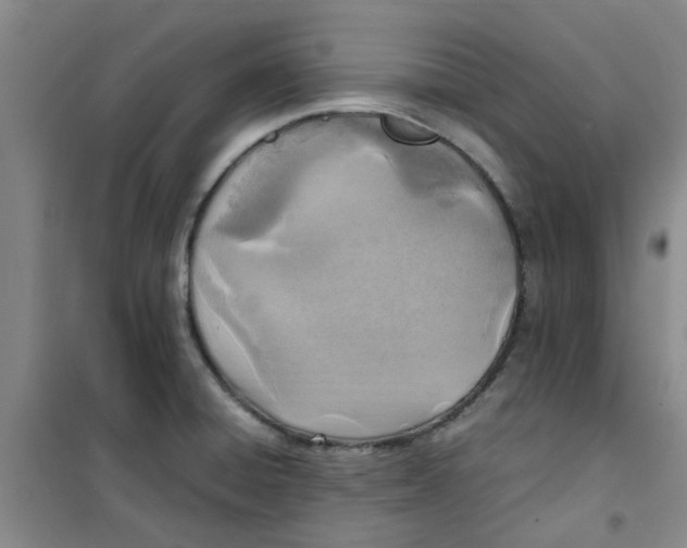 X0000100981428200807151405