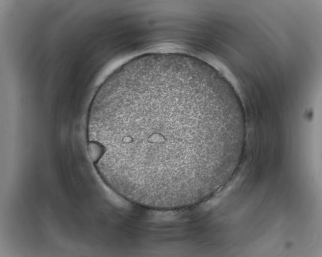 X0000100981429200807151405