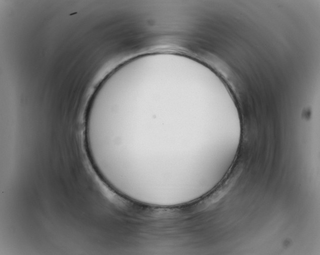 X0000100981430200807151405