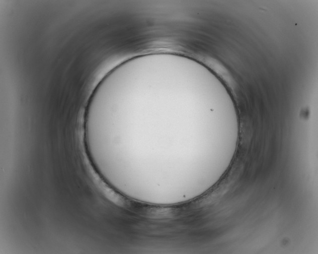 X0000100981431200807151405