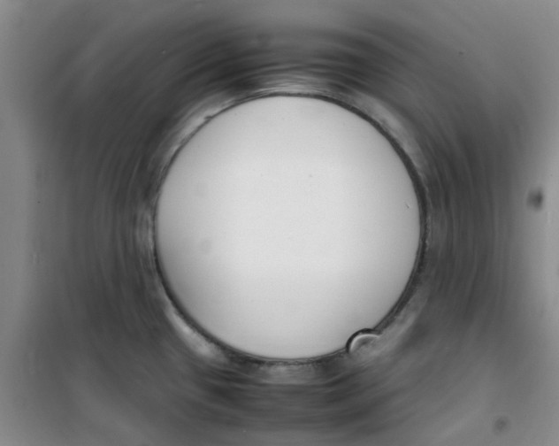 X0000100981433200807151405