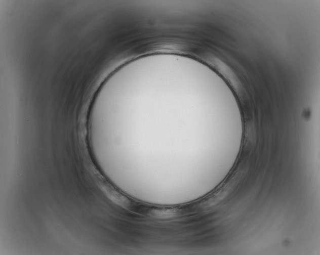 X0000100981435200807151405