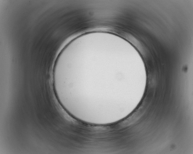 X0000100981436200807151405