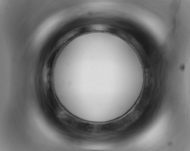 X0000100981438200807151405