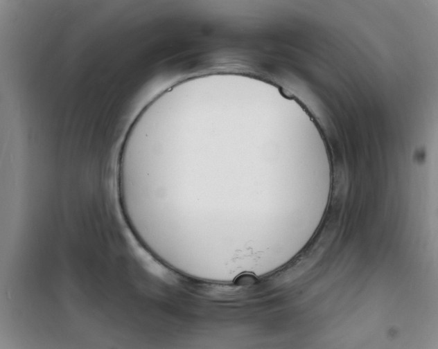 X0000100981439200807151405