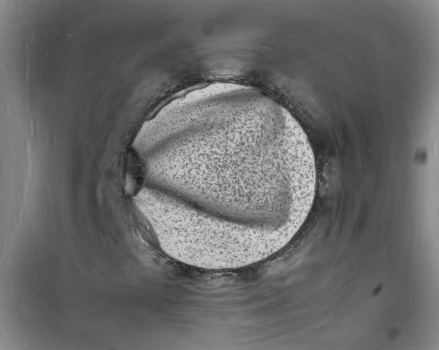 X0000100981441200807151404