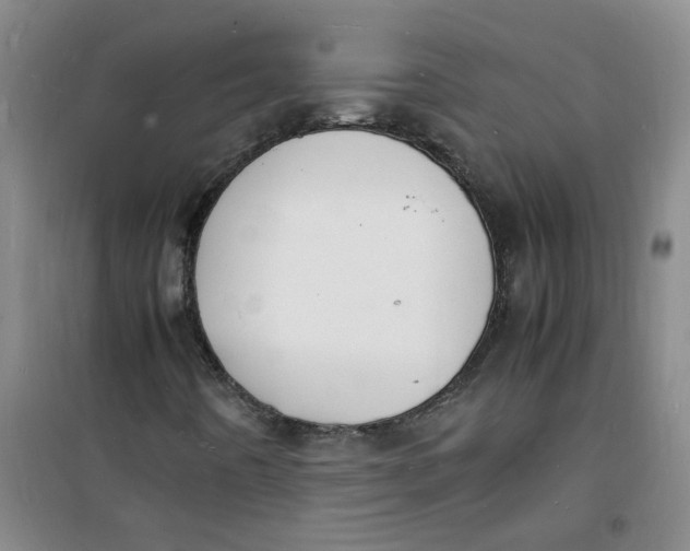 X0000100981442200807151404