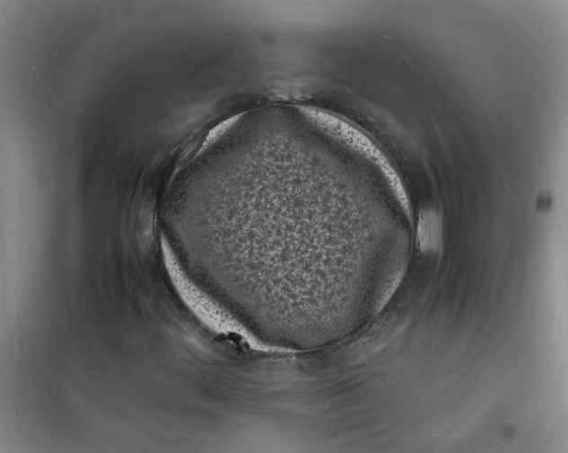 X0000100981444200807151404