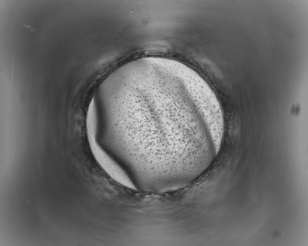 X0000100981445200807151404