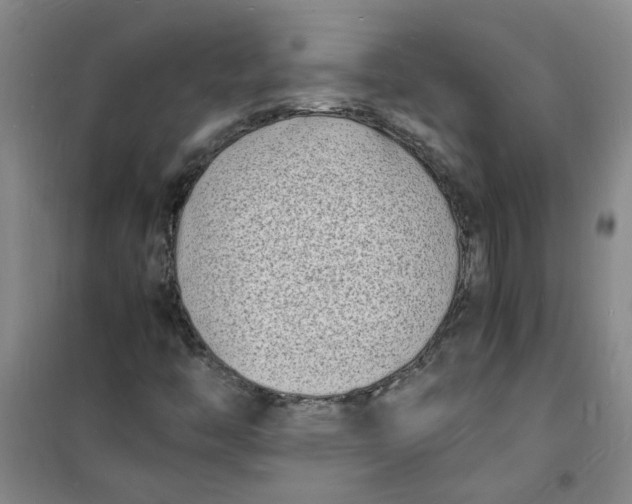 X0000100981446200807151404