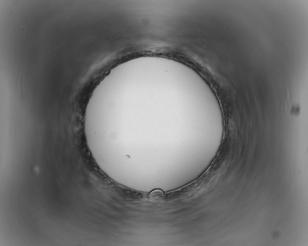 X0000100981447200807151404