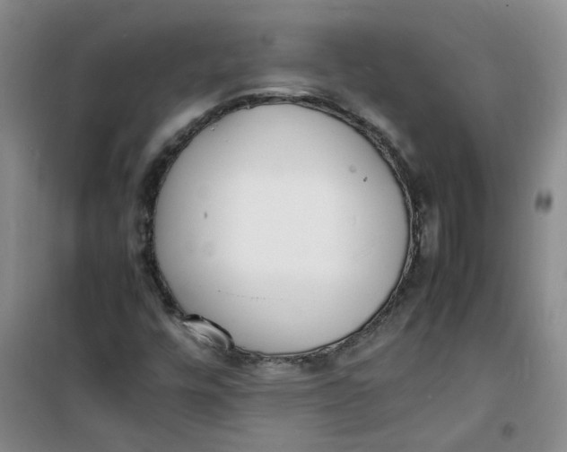 X0000100981448200807151404