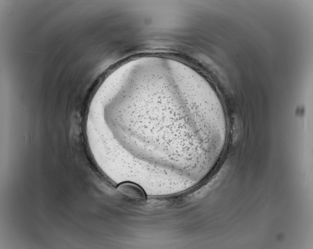 X0000100981449200807151404